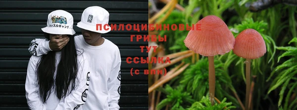 прущие крисы Аркадак