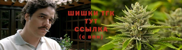 прущие крисы Аркадак