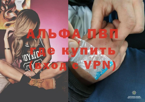 прущие крисы Аркадак