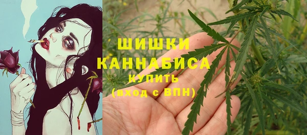 прущие крисы Аркадак