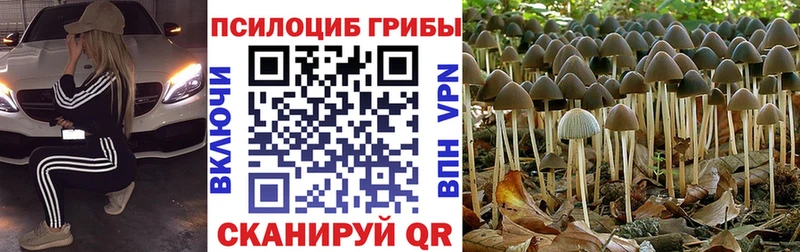 Псилоцибиновые грибы ЛСД Поронайск