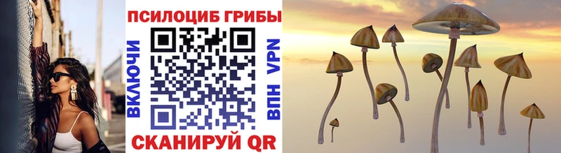 купить  цена  Поронайск  Псилоцибиновые грибы Cubensis 
